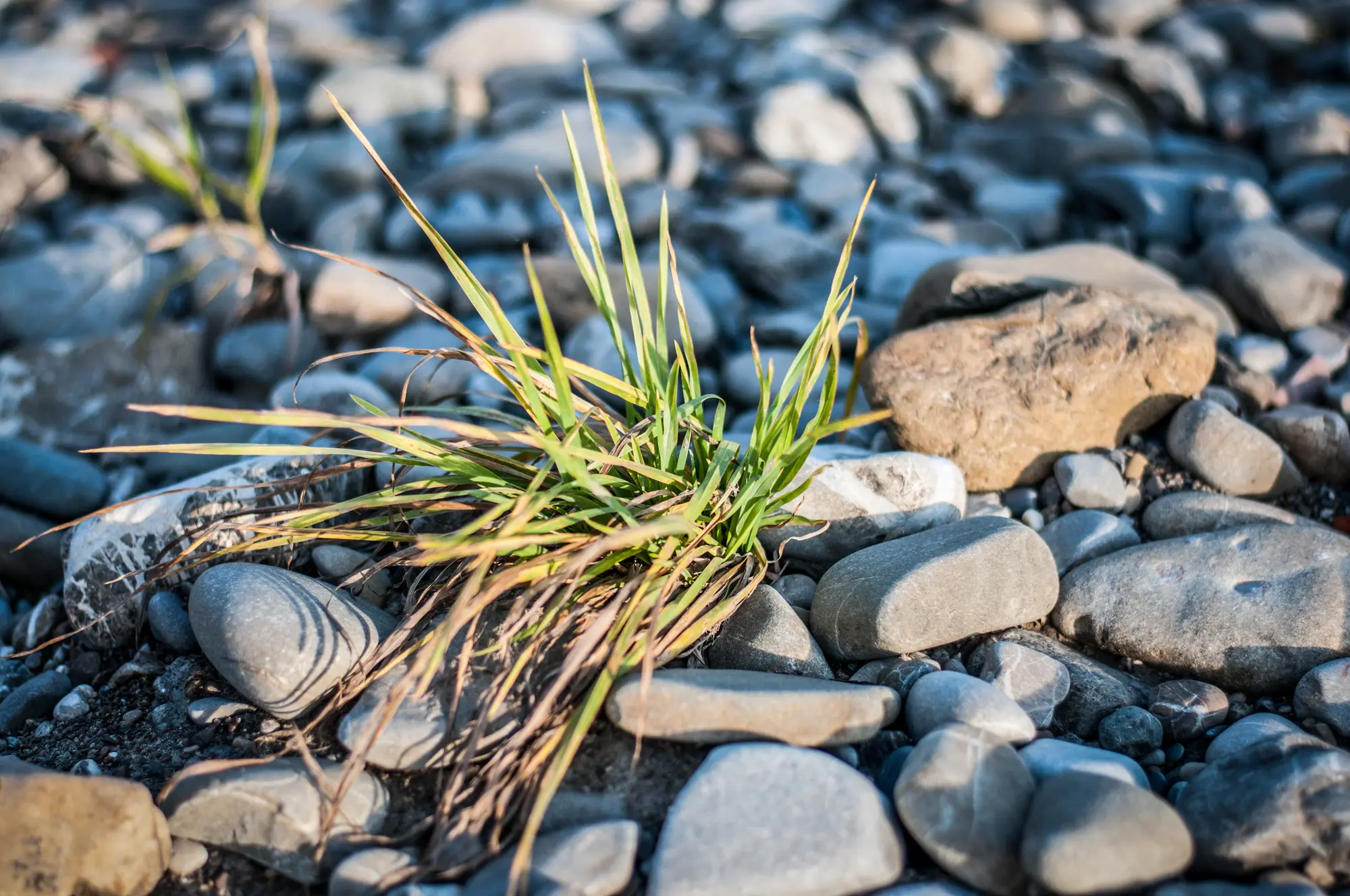 AdobeStock_45949782.jpeg